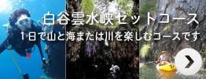 白谷雲水峡セットコース