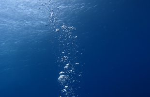 0716diving3