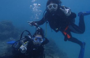 1104diving