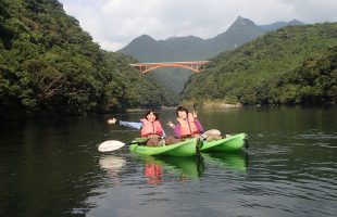 1105kayak