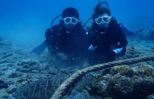 0829diving