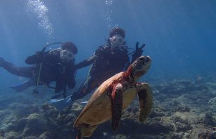 0916diving