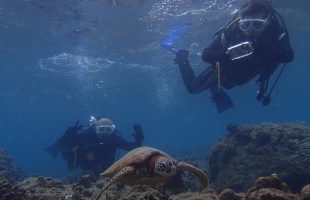 0922diving