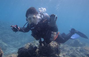 0523diving