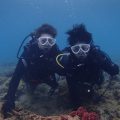 0710diving