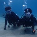 0809diving