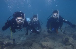 0821diving