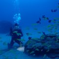 1023diving
