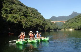 1101kayak